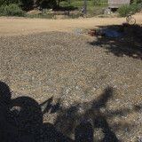 Fish drying on the side of the road