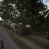 Oxe cart in Myanmar