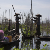 Farming from a boat