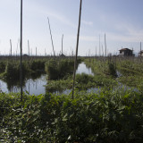 Floating Farms