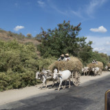 Oxe carts are a way of life in Myanmar