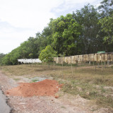 Rubber Drying