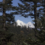 A glimpse through the trees