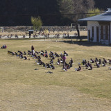 Classes being held on the Sports Field