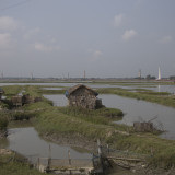 Looking across Fish farms to brick making Kilns