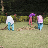 Sweeping leaves at the resort