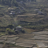 Terraces