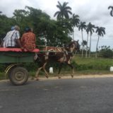 Rural Cuban transport